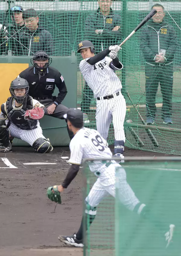 【阪神】ドラフト３位・岡城快生、ライブＢＰで長打性の打球２本…藤川球児監督、和田豊ＨＣら熱視線