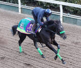 「【オーシャンＳ】「勝っているところだから」陣営も自信　２４年スプリンターズＳ勝ち馬ルガルが同舞台Ｖ狙う　」の画像1