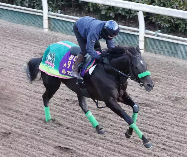 【オーシャンＳ】「勝っているところだから」陣営も自信　２４年スプリンターズＳ勝ち馬ルガルが同舞台Ｖ狙う　