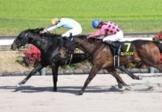 【中山１０Ｒ・京葉Ｓ】ナムラフランクが好位から抜け出しリステッド初勝利　岩田望来騎手「強い競馬でした」