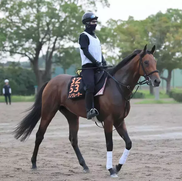 【セントライト記念・浅子の特注馬】前走を見返す度に強いと評価　サノノグレーターが春の実績馬逆転も狙える