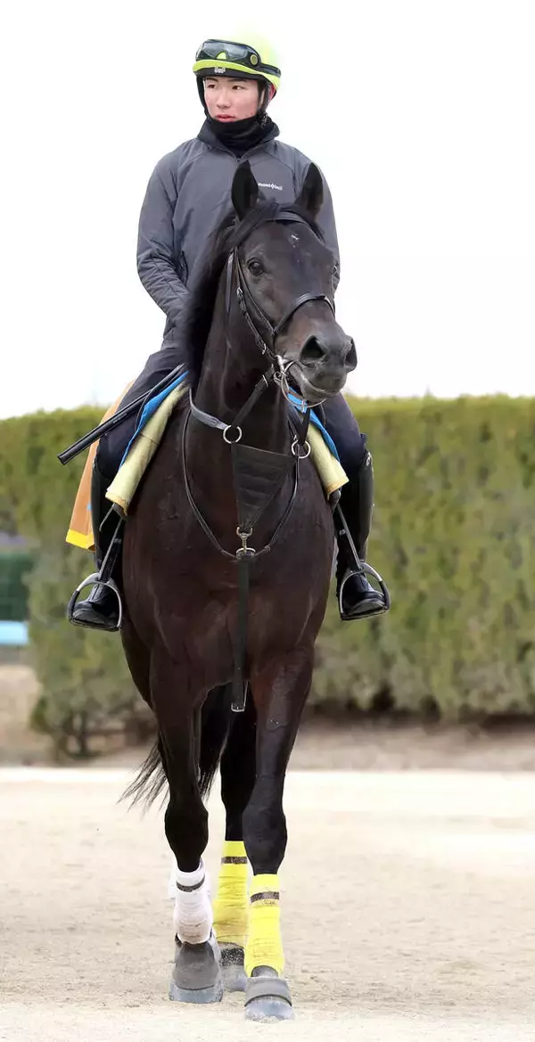 【プロキオンＳ】古豪クラウンプライドは衰えなし　陣営「７歳だけど充実期。大人の良さが出てきた」