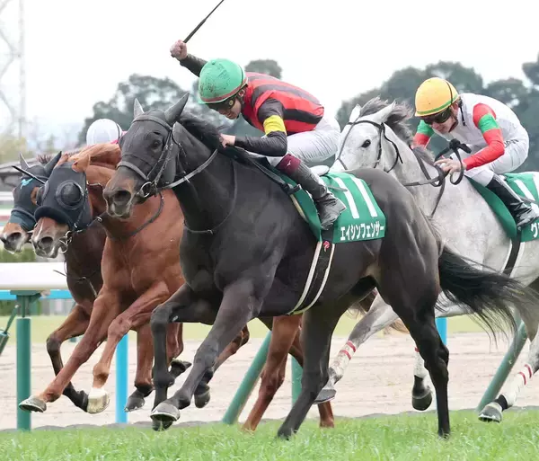 【注目馬動向】２５年シルクロードＳ覇者エイシンフェンサーが引退　ヴェルミセルはバルザローナ騎手と新コンビ