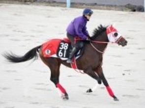 【注目馬動向】ＧＬＡＹのＴＥＲＵが名付け親のテルヒコウは報知杯弥生賞ディープインパクト記念へ向かう