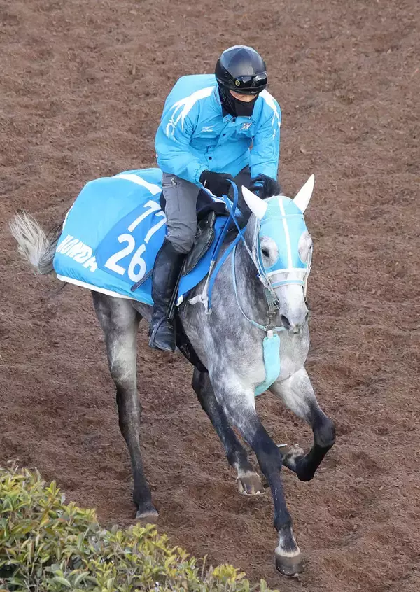 【ダイヤモンドＳ】スタミナ豊富なブレイヴロッカーはチャンス十分　本田調教師「もともと力のある馬」