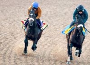 【フェブラリーＳ】国枝調教師ラストＧ１に戸崎圭太騎手「恩返し」シックスペンスに初コンタクトで「すごくいい」