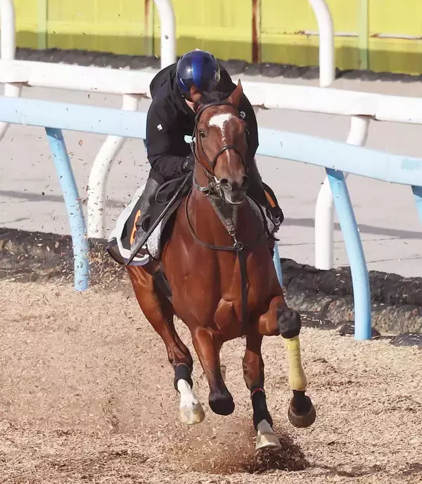 【報知杯弥生賞】タイダルロックが帰厩後初時計で上々の感触　武井調教師「上積みのある状態から」