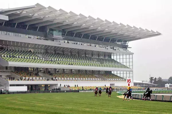 【中京競馬・１５日の馬場】金鯱賞が行われる芝は内も外も伸びる。鋭い決め手を持つ馬に注目　ダートは早めの仕掛けが必要