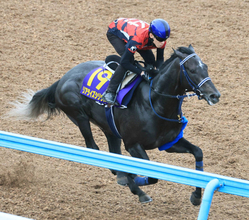 【日本ダービー】津村明秀騎手「もうやることはないくらいできた」　リアライズシリウスはＷコースを単走でラスト１１秒３