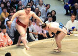 「安青錦が１敗で首位を堅持　激しい相撲で、土俵下に落ちた際には、左足を気にする様子も　大関復帰にあと３勝」の画像1