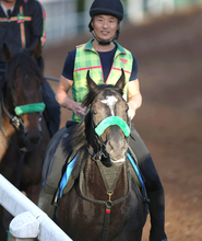 【太秦Ｓ・土曜気配】メンバー唯一の３歳馬メルカントゥールが賞金加算へ勝負気配　陣営「だいぶフットワークがいい」