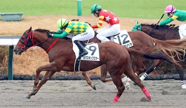 【中山６Ｒ・２歳新馬】ルクスポップスターが上がり最速で競り勝つ　団野大成騎手「次が楽しみです」