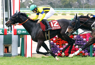 ２０２３年報知杯ＦＲ覇者シングザットソングが引退　白老ファームで繁殖入りへ