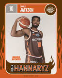 「京都ハンナリーズが「ＢＥＡＭＳ　ＳＰＯＲＴＳ」とのコラボユニホーム着用　「４・１」ホームＦＥ名古屋戦」の画像1