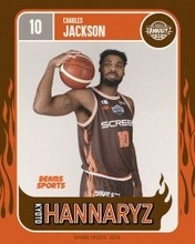 京都ハンナリーズが「ＢＥＡＭＳ　ＳＰＯＲＴＳ」とのコラボユニホーム着用　「４・１」ホームＦＥ名古屋戦