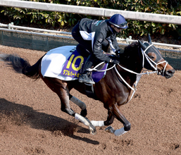 “世界のＲＹＵＳＥＩ”騎乗で史上初の牝馬Ｖへ万全の態勢　ダブルハートボンドに坂井瑠星騎手「完璧な追い切り」　