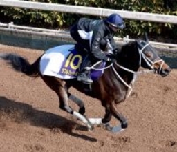 “世界のＲＹＵＳＥＩ”騎乗で史上初の牝馬Ｖへ万全の態勢　ダブルハートボンドに坂井瑠星騎手「完璧な追い切り」　