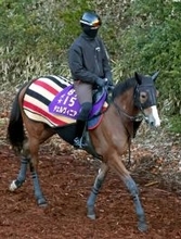 【中山記念】２４年の牝馬２冠チェルヴィニアが今年初戦　陣営慎重も僚馬コスタノヴァは急ピッチ調整でＧ１連覇