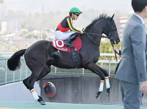 「次頑張ればええ」「長い目で見守る」リバティアイランド半妹が大敗もネットはおおらか　コニーアイランドは１３着