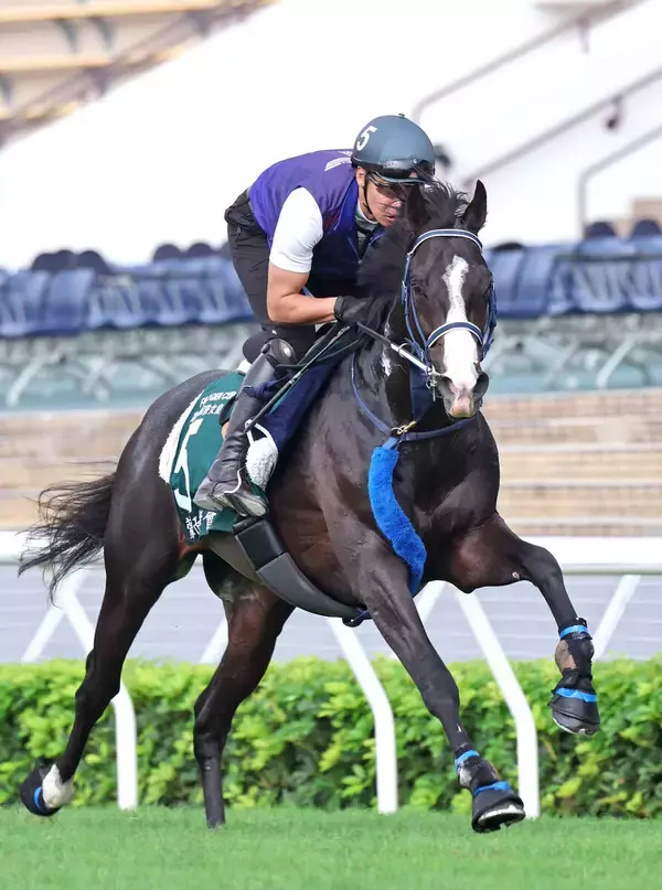 【香港・ＱＥ２世Ｃ】マスカレードボールは６番　ロマンチックウォリアーは５番に　ゲート番決定