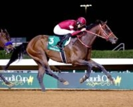 ロイヤルアスコット開催に登録の日本馬を発表　フォーエバーヤング、サトノレーヴ、アイサンサンなどがエントリー