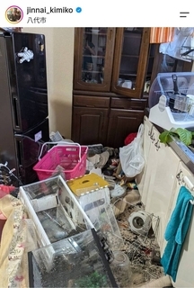 熊本県八代市出身の陣内貴美子「物が倒れ、皿が割れてぐちゃぐちゃ」被災写真に絶句「涙が出ます」「辛いです」