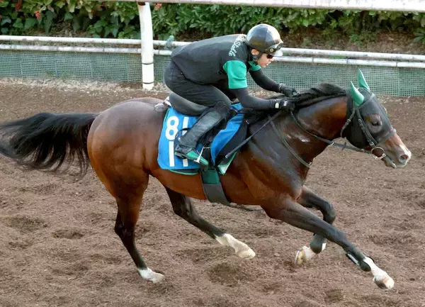 【ＣＢＣ賞】横山武史騎手「この暑さとハンデの割には…」２番人気レイピアは重賞３度目の２着　好走もタイトル届かず