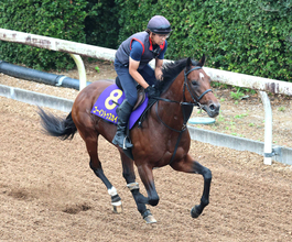 【菊花賞・浅子の特注馬】武豊騎手の進言が何よりの買い材料　意味ある前哨戦が本番につながる