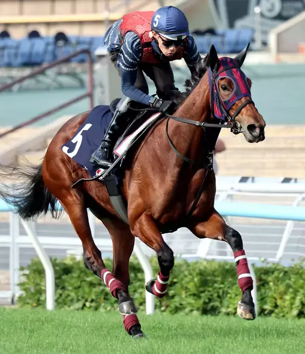 【香港マイル】エンブロイダリーは芝で軽快な動き　森一調教師「今回は一歩踏み込んだ調整ができています」