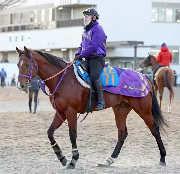 【ＡＪＣＣ】絶好の舞台で初タイトルへ　清水英調教師「中山の２２００メートルはベスト」ディマイザキッドに期待