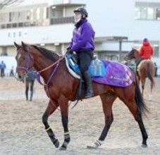 【ＡＪＣＣ】絶好の舞台で初タイトルへ　清水英調教師「中山の２２００メートルはベスト」ディマイザキッドに期待