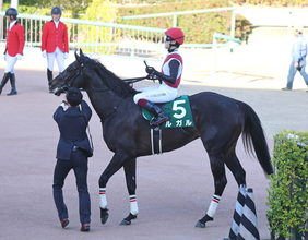 【オーシャンＳ】「直線で風の影響が…」鮫島克駿騎手　１番人気の２４年スプリンターズ覇者ルガルは３着　