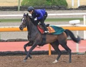【桜花賞・１週前】栗東滞在の関東馬ドリームコアは古馬相手に併入　萩原調教師「動きも良かった」