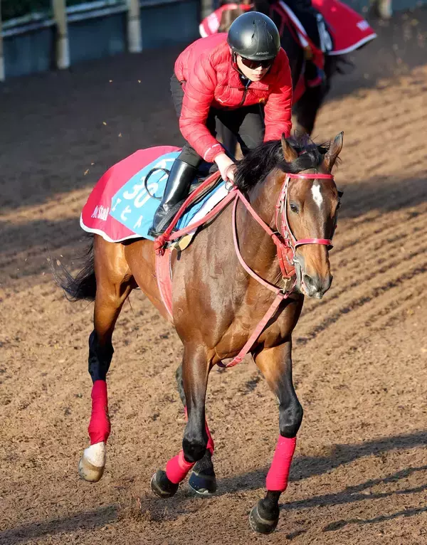 【天皇賞・春・１週前】９歳でも絶賛成長中！エヒトは栗東・坂路をリズム良く登坂　陣営「心肺機能の高い馬でやれてもいい」