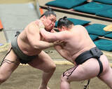 「横綱のしこ名を継ぐ旭富士、序ノ口デビューから１６連勝」の画像1