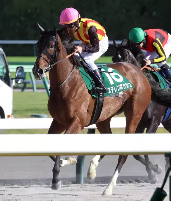 【注目馬動向】エプソムＣ２着のステレンボッシュは安田記念へ　社台グループオーナーズが発表