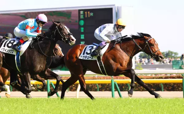 【初めてのダービー５】２０２２年レジェンドの勝利への熱意...ドウデュース世代の水納愛美記者～スポーツ紙・夕刊紙８紙特別企画～