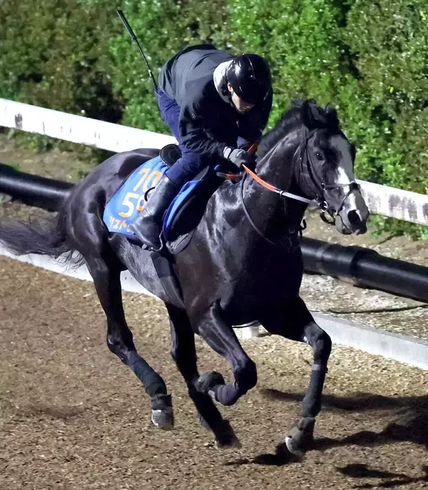 【注目馬動向】ジャックルマロワ賞を目指して調整中のシュトラウスがムーンランドロンシャン賞に登録