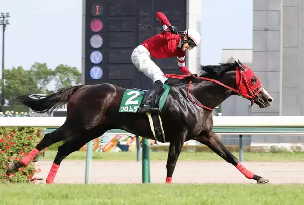 【注目馬動向】ＣＢＣ賞を制したフロムダスクはスプリンターズＳへ　白星デビューのマルカルーカスはＪＢＣ２歳優駿が本線