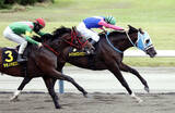 「【新潟８Ｒ・ＢＳＮ賞】松本オーナーの命日に“愛馬”が激走！　２０００勝飾った本田調教師の管理馬メイショウズイウンがＶ」の画像1