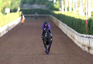 【アイルランドＴ】メンバー唯一のＧ１馬カムニャックがいつも通りの“友道流”仕上げ「今回は落ち着きもあります」