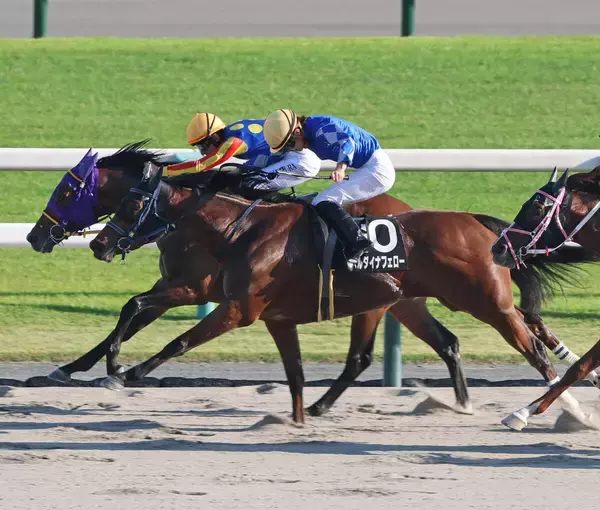 【京都１１Ｒ・御陵Ｓ】サイモンシュバリエが首差で逃げ切る　好騎乗の吉村誠之助騎手「うまいこといきました」