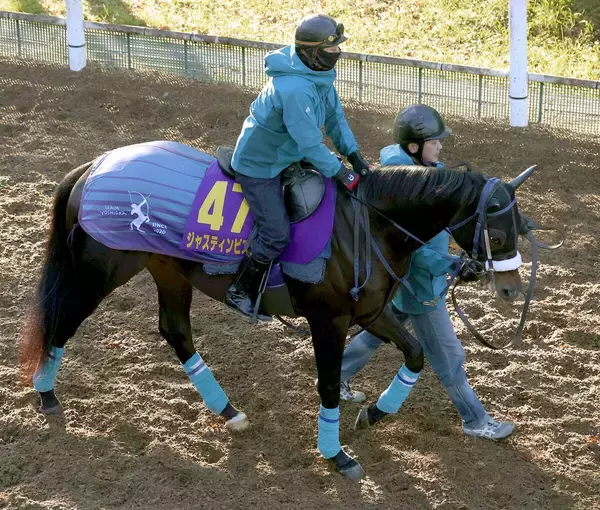 【ホープフルＳ】ジャスティンビスタも続いてＧ１制覇だ！　父サートゥルナーリアを担当していた吉岡調教師「ありがたい気持ちでいっぱい」