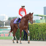 「【すみれＳ・山下の特注馬】アーレムアレスはまだまだ伸びる器　賞金加算のために負けられない」の画像1