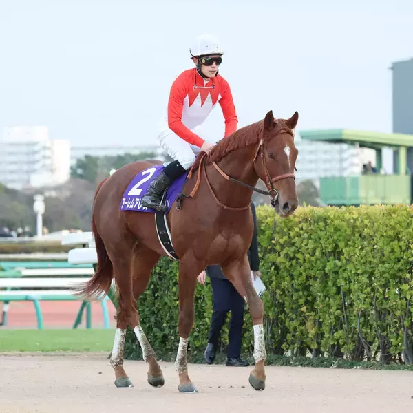 【すみれＳ・山下の特注馬】アーレムアレスはまだまだ伸びる器　賞金加算のために負けられない