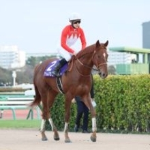 【すみれＳ・山下の特注馬】アーレムアレスはまだまだ伸びる器　賞金加算のために負けられない