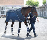 「【注目馬動向】ブローザホーンは阪神大賞典で復帰　天皇賞・春を目指す　フォーチュンタイムは京王杯ＳＣへ」の画像1