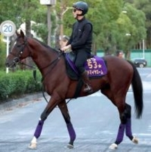 【注目馬動向】アドマイヤズームは読売マイラーズＣで武豊騎手と新コンビ　アドマイヤテラもコンビ継続で天皇賞・春へ