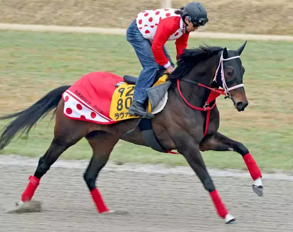 【阪神牝馬Ｓ】１週前はラスト１０秒７！東京新聞杯２着ラヴァンダ上昇中　中村調教師「楽しみになる走りを見てみたい」