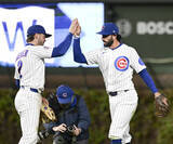 「リグリーフィールドに珍客が“襲来”　大型の水鳥がグラウンドを闊歩→安打で驚き飛び去る…カブス―フィリーズ戦」の画像1